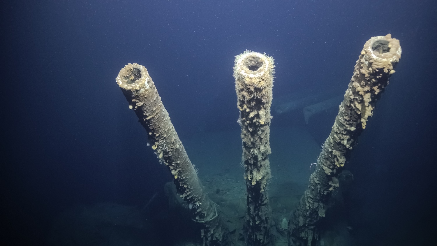 Guns on USS Vincennes shipwreck