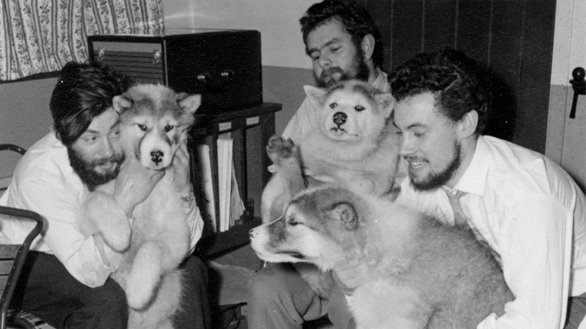 a black and white photo of three scientists holding three sled dogs dogs