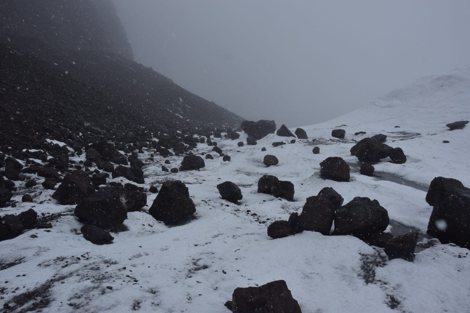 several dark rocks amid a white glacier