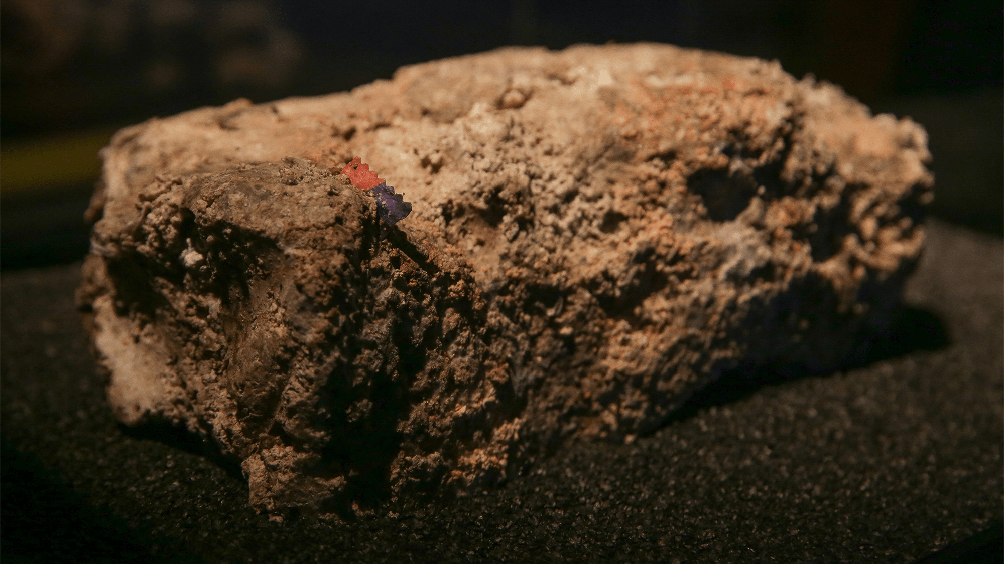 a large rock looking object called a fatberg on display in a museum. it is a big blob of fat, oil, and grease that clogged sewers