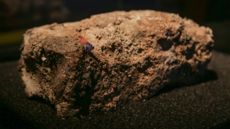 a large rock looking object called a fatberg on display in a museum. it is a big blob of fat, oil, and grease that clogged sewers