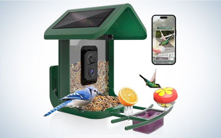 Onlyfly bright green smart connected camera solar powered bird feeder on a grey gradient