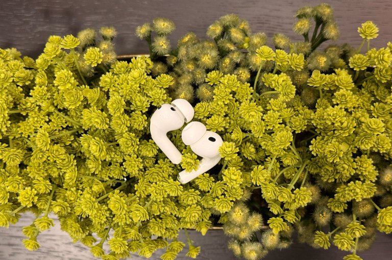 White AirPods Pro 3 sitting on a fake green plants