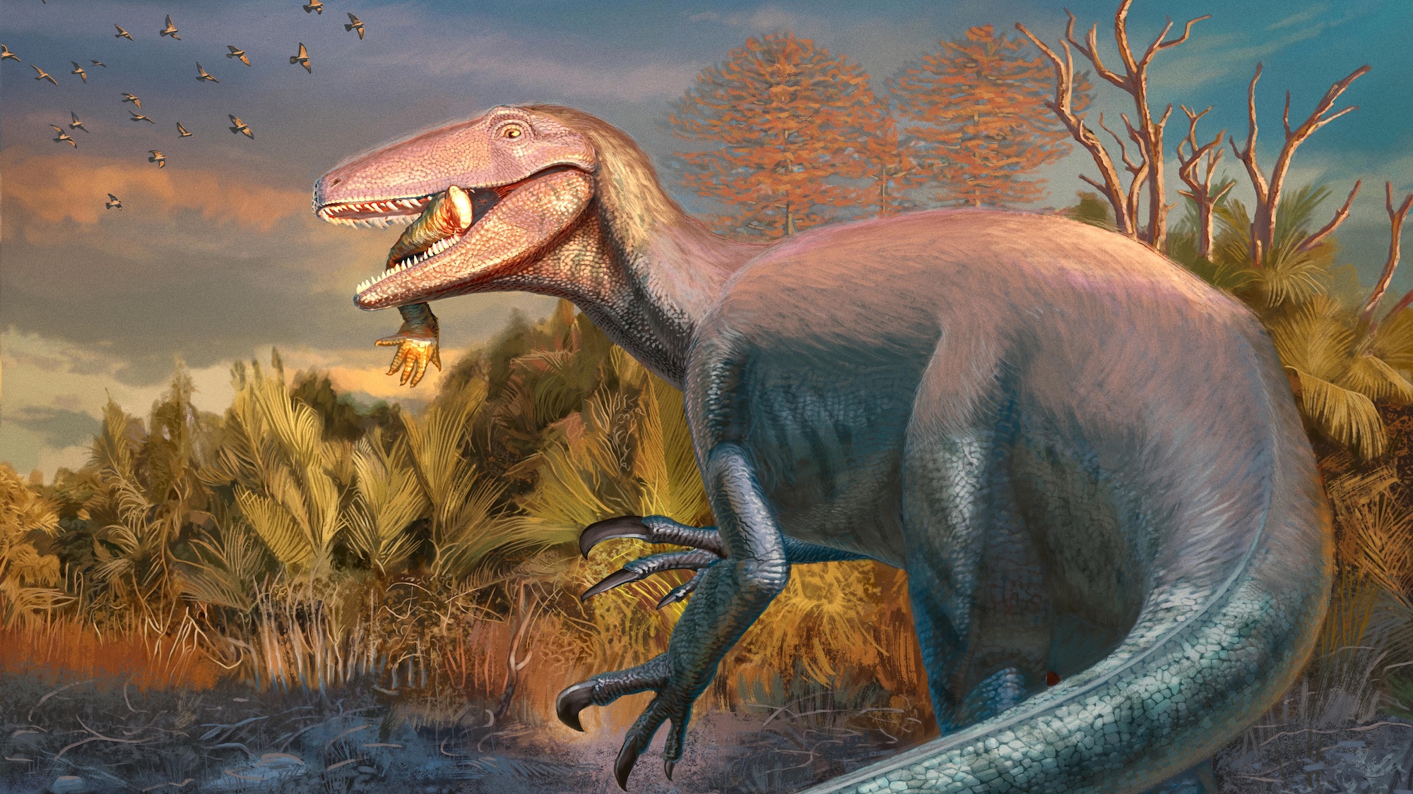 Illustration of Joaquinraptor dinosaur with crocodile leg in its mouth