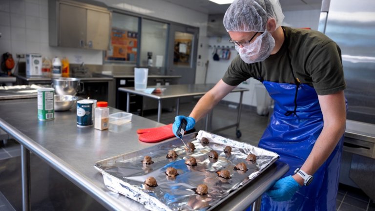 Researcher using thermometer to measure meatball temperatures in kitchen