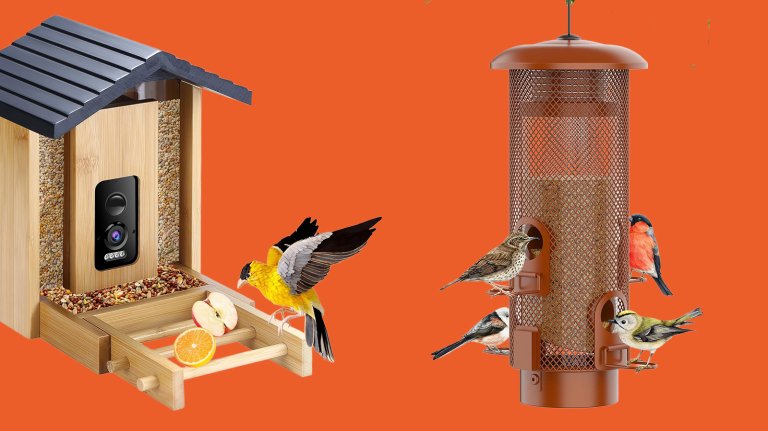 Bird feeders with birds on an orange background