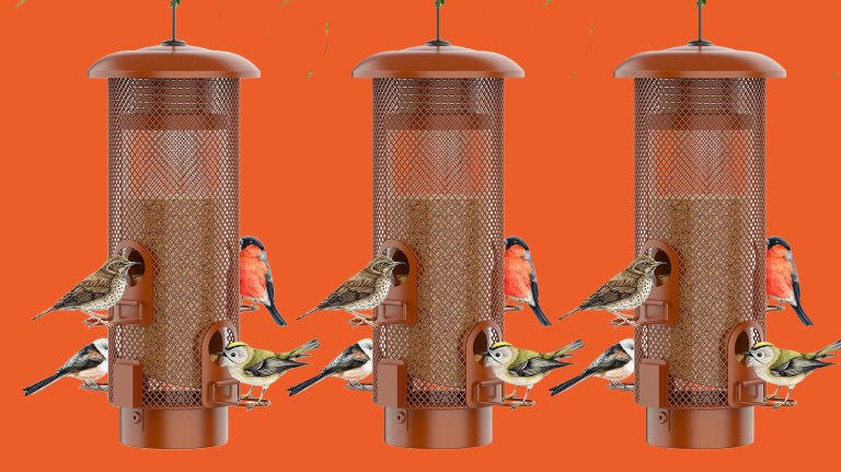 WeeFeet bird feeders with birds
