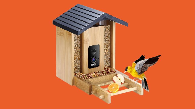 Akasumer bird feeder with bird