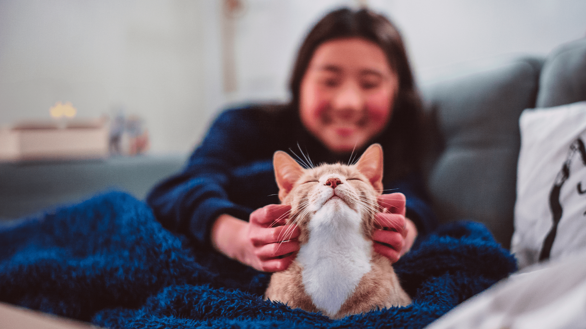 a woman sitting on the couch with her cat scratching the cat behind its ears