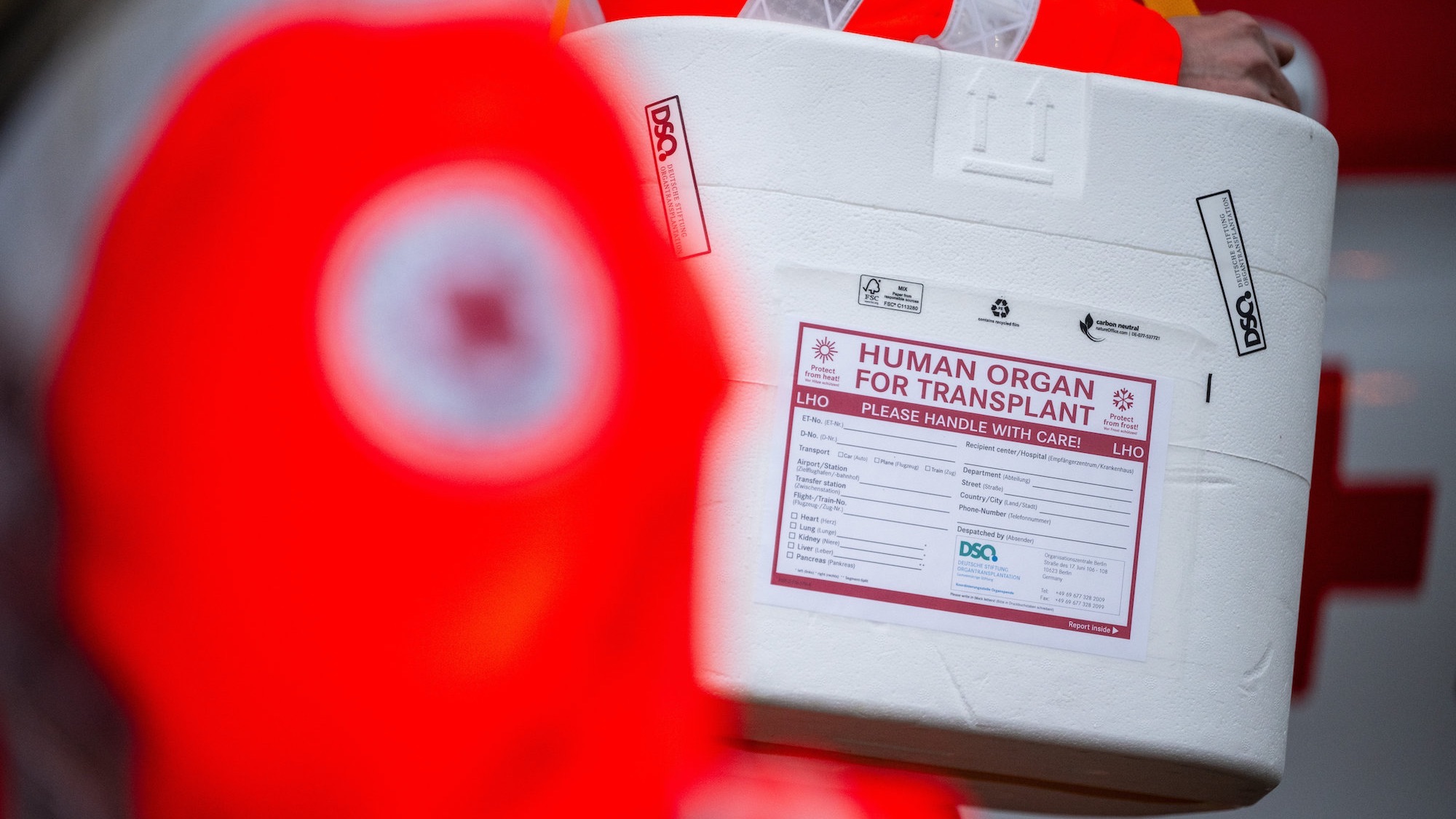 ILLUSTRATION - 21 January 2025, Berlin: Employees of the German Red Cross stand in front of a German Red Cross van with a cool box for an organ donation. (staged scene) Photo: Sebastian Gollnow/dpa (Photo by Sebastian Gollnow/picture alliance via Getty Images)
