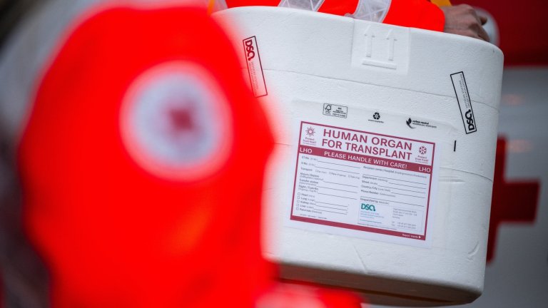 ILLUSTRATION - 21 January 2025, Berlin: Employees of the German Red Cross stand in front of a German Red Cross van with a cool box for an organ donation. (staged scene) Photo: Sebastian Gollnow/dpa (Photo by Sebastian Gollnow/picture alliance via Getty Images)