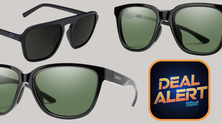 Smith sunglasses on a gray background on sale at REI