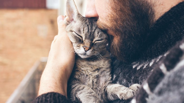 bearded man snuggles grey tabby cat