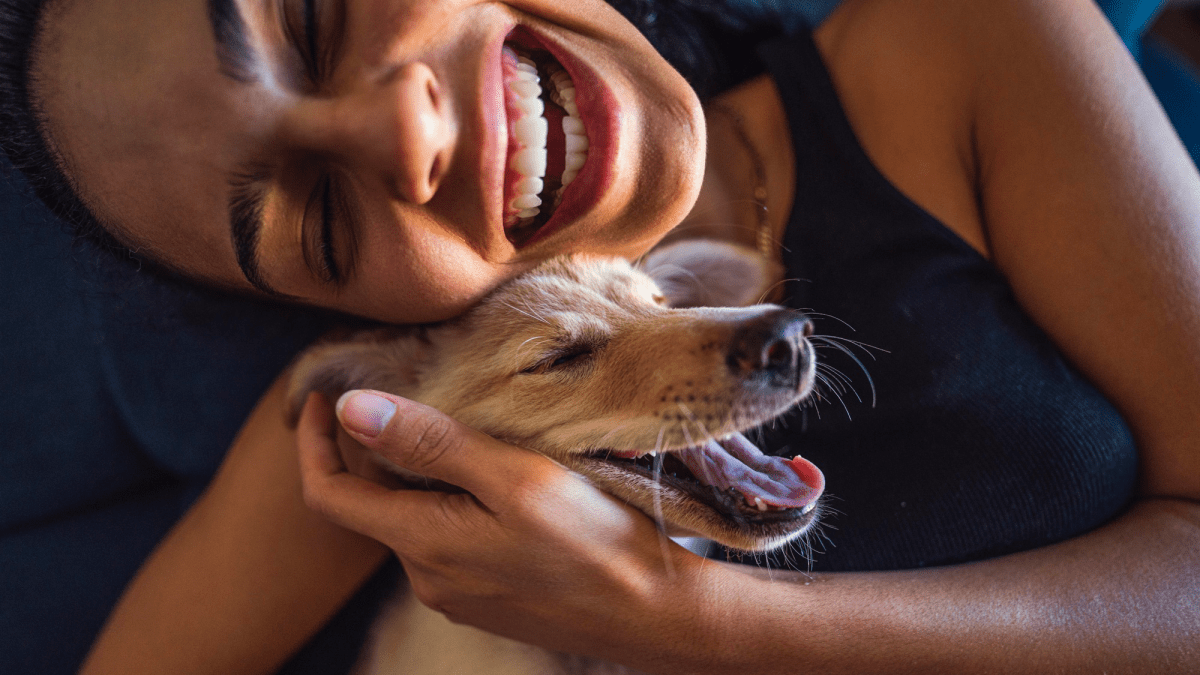Why your dog gets so excited to see you
