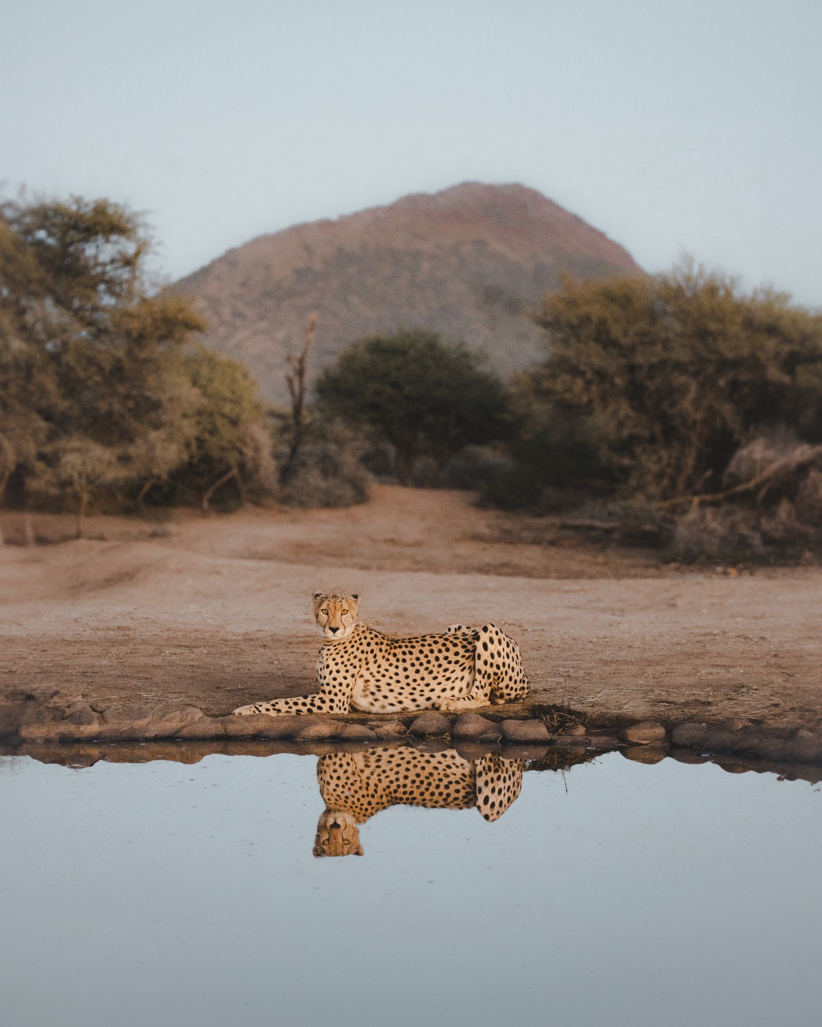18 triumphant images from the 1839 Photography Awards | Popular