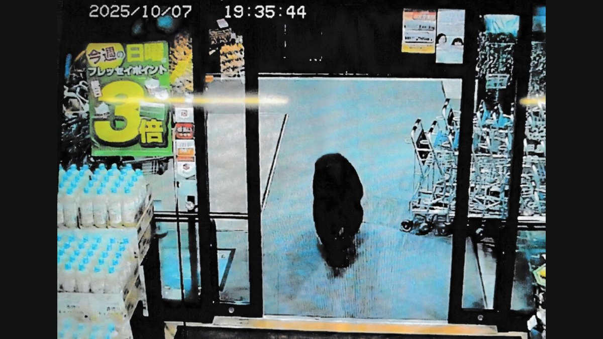 Bears have attacked over 100 people in Japan since March