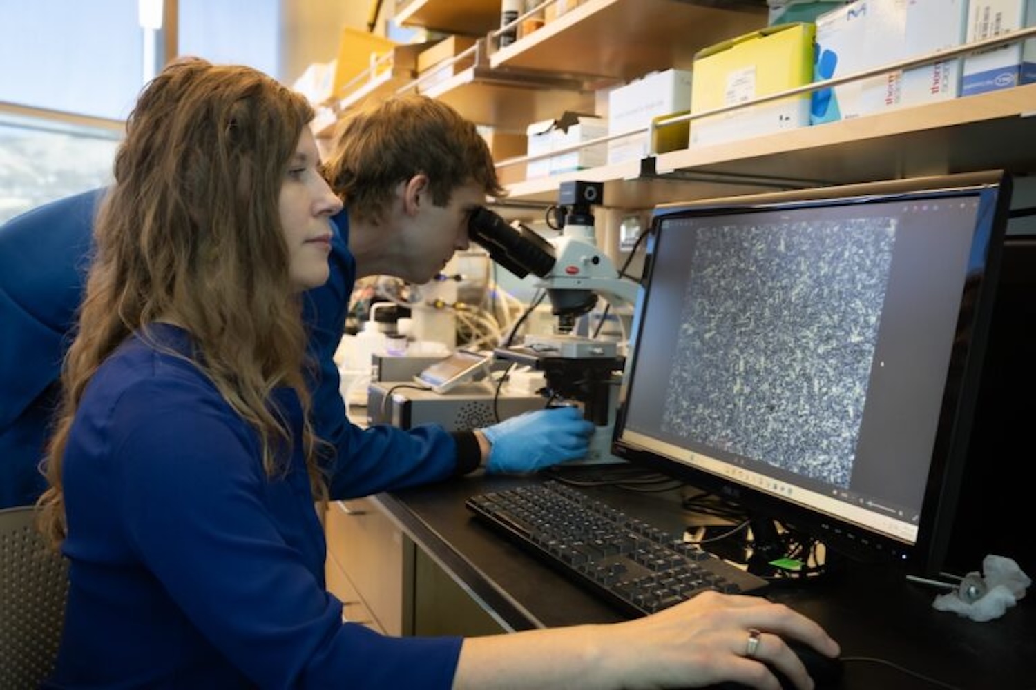 Jessica Kramer, left, and Thomas McParlton observe the size of ice crystals in a sample treated with their protein in their lab at the University of Utah. Credit: Dan Hixson, University of Utah