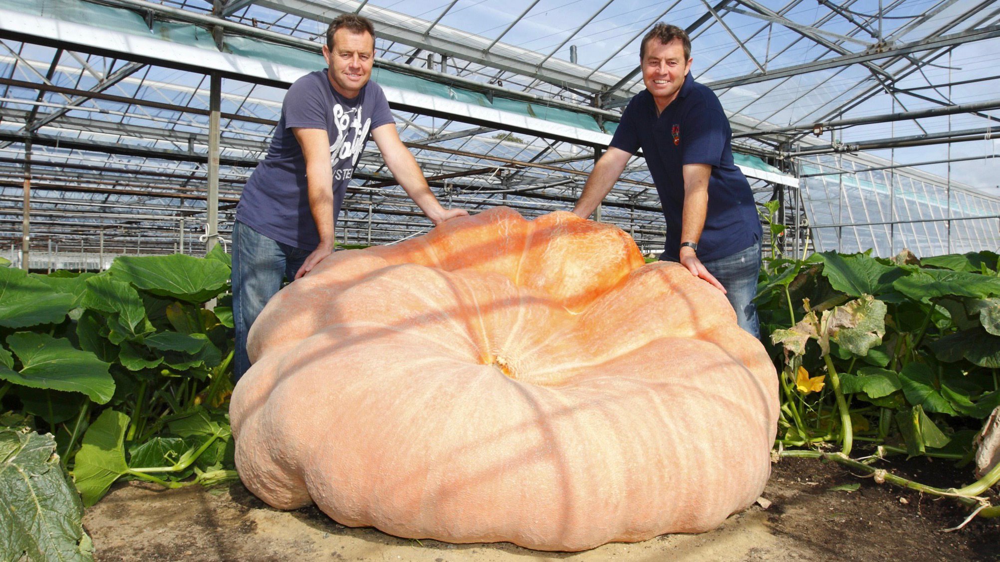 Giant pumpkin growers face off for world gourd domination