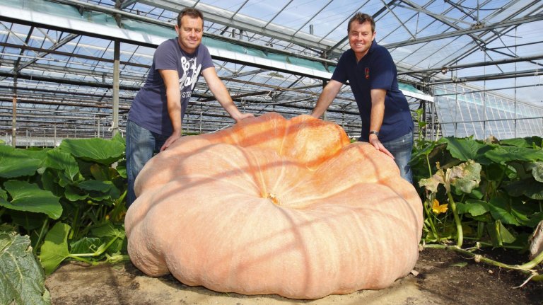 Two men are standing behind an enormous, pale orange Atlantic Giant pumpkin, with their hands resting on it. They are inside a large greenhouse structure, surrounded by green vines and leaves. Both men are smiling and wearing casual t-shirts and jeans.