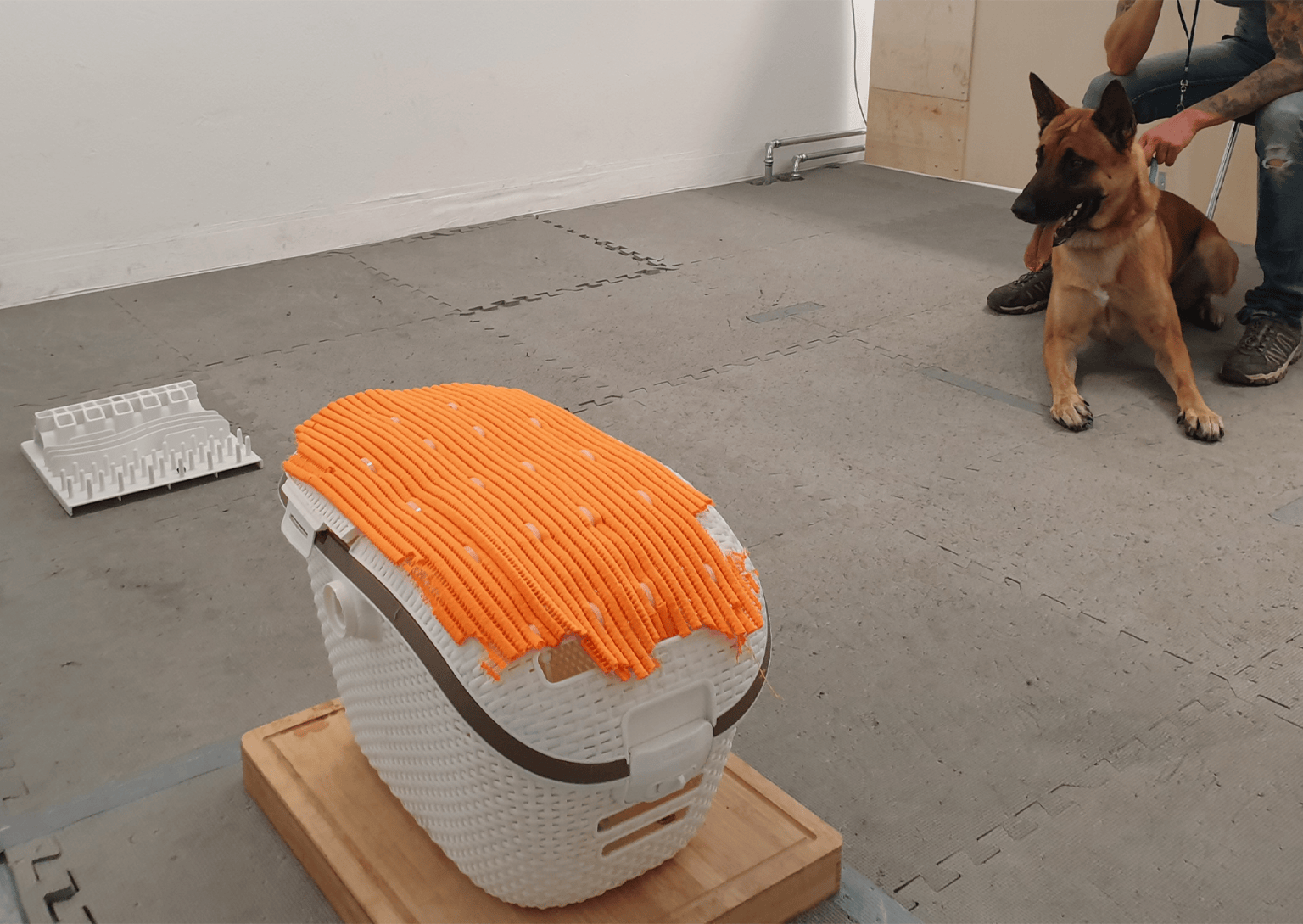 Curated visual reference: Can Dogs Get Addicted To White Chocolate Reference: Dogs Really Can Be Addicted To Their Toys