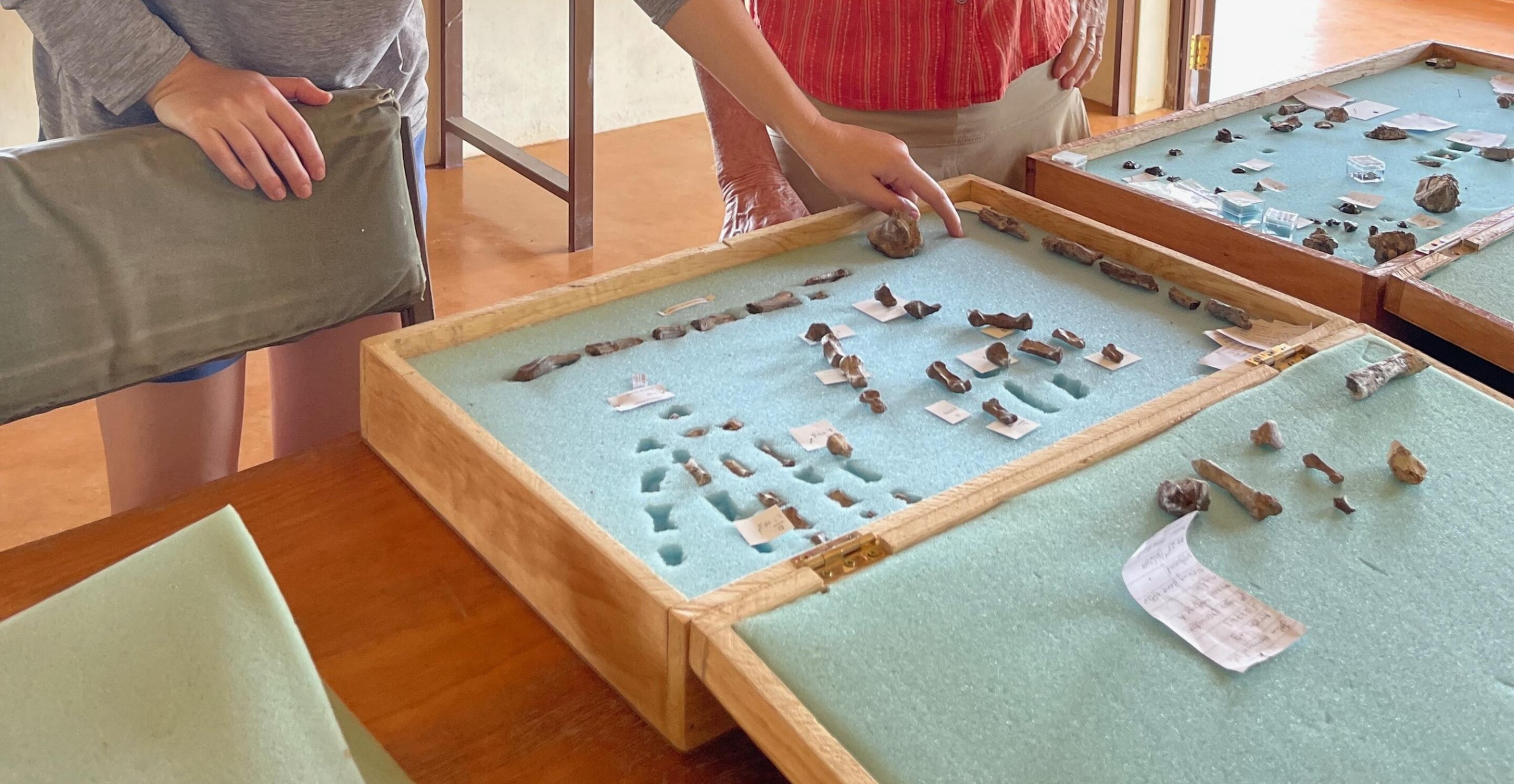 This overlooked human ancestor wielded tools with a gorilla-like grip