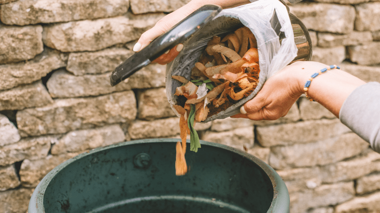 a close up of food scraps being poured into a compost bin