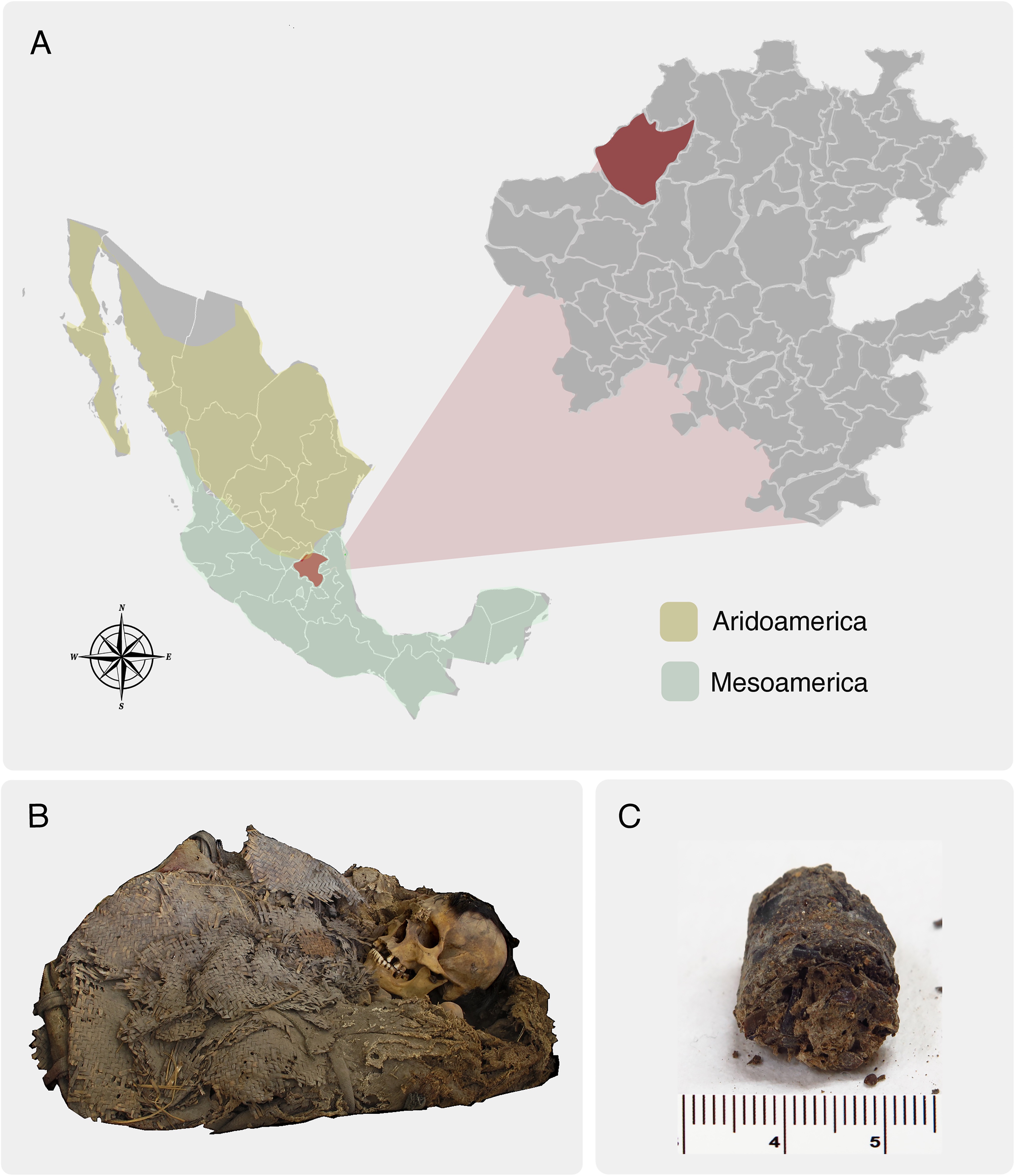 Remains of the Zimapán Man and Location Where He Was Found.