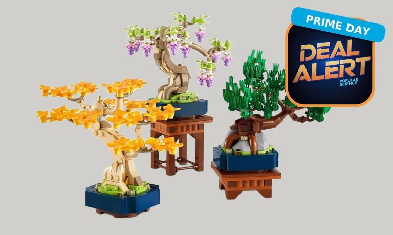 Lego trees prime day