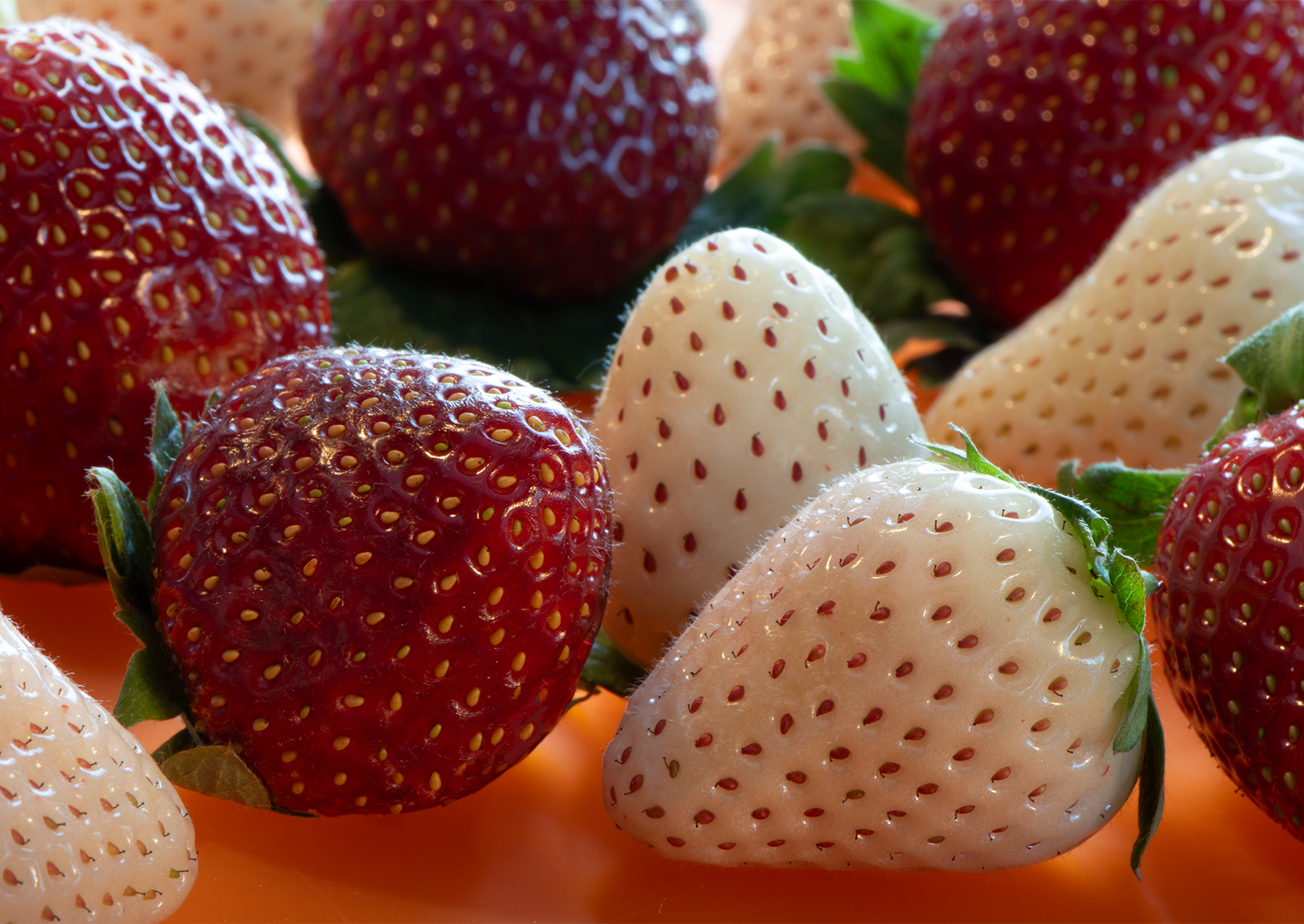white and red strawberries