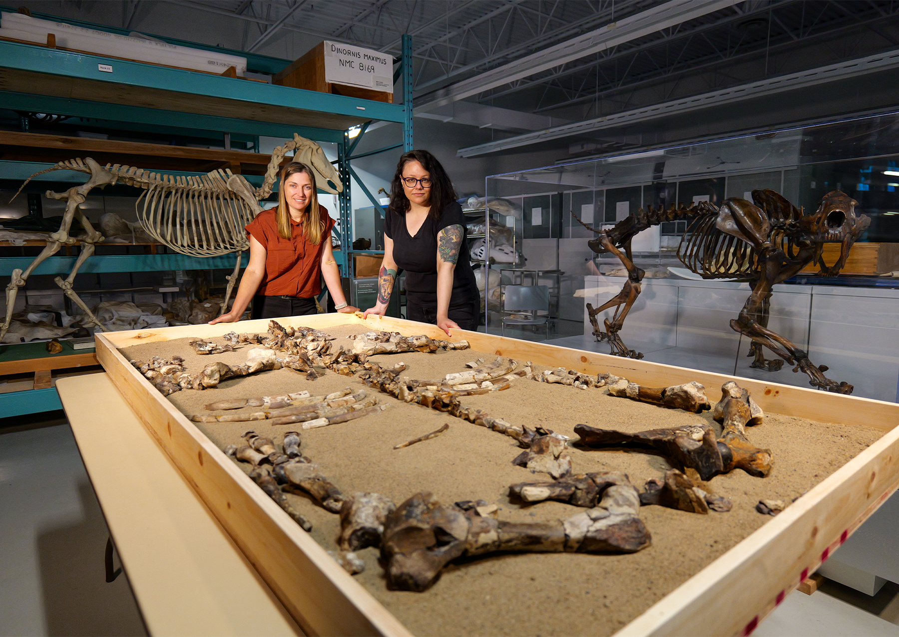 two women standing over a wooden table with rhino bones laid out