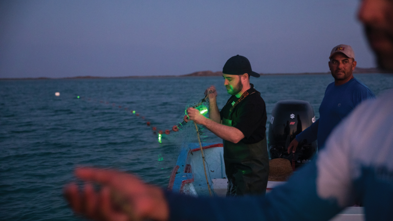 ASU marine biologist and conservation scientist Jesse Senko fishes a solar-powered illuminated net off the coast of Baja California Sur, Mexico.