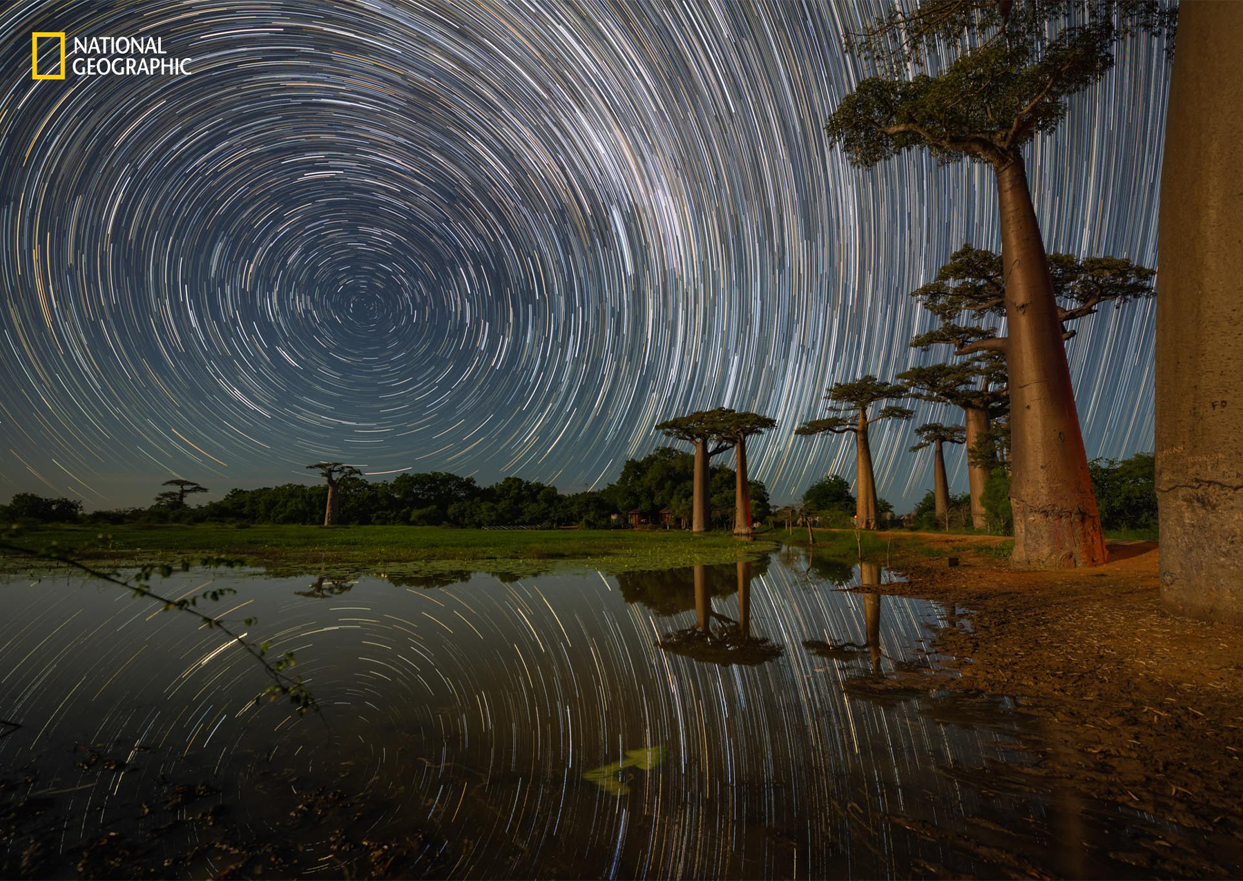 From the ground, Tafreshi photographed Madagascar's famed baobab trees against a backdrop of swirling star trails that converge around the celestial South Pole. 