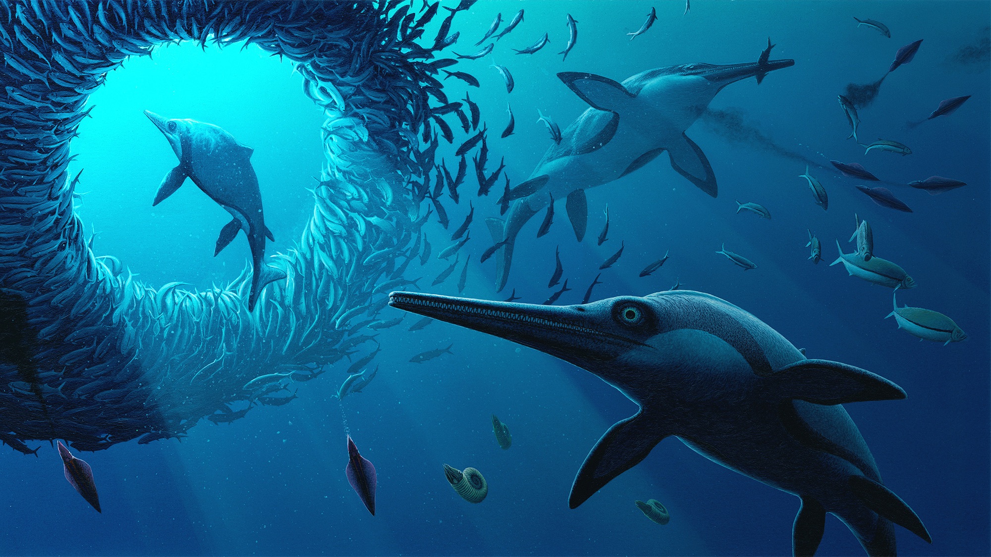 an illustration of a marine reptile swimming amongst fish