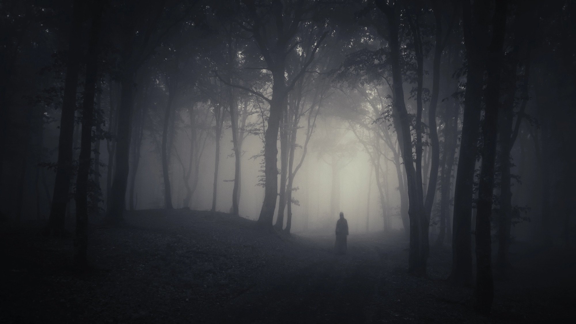 A panoramic, dark, and eerie photograph of a dense forest shrouded in thick fog or mist. The trees are tall and silhouetted, with a single, dark, cloaked figure standing in a patch of brighter light at the center of the path, creating a spooky and mysterious atmosphere.