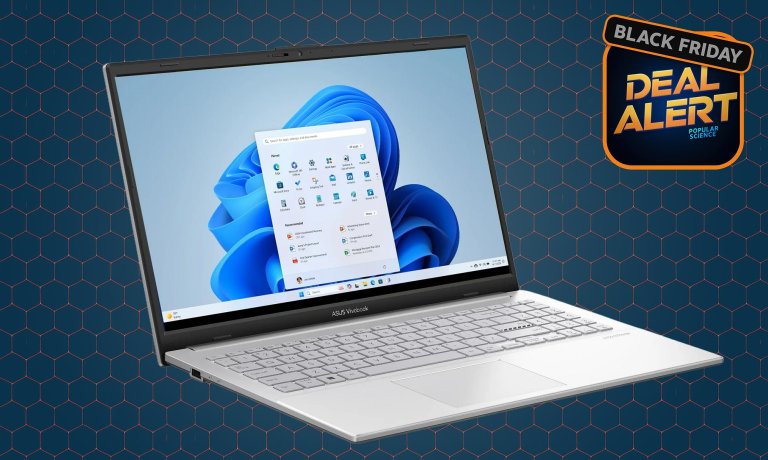 Asus Vivobook Go laptop