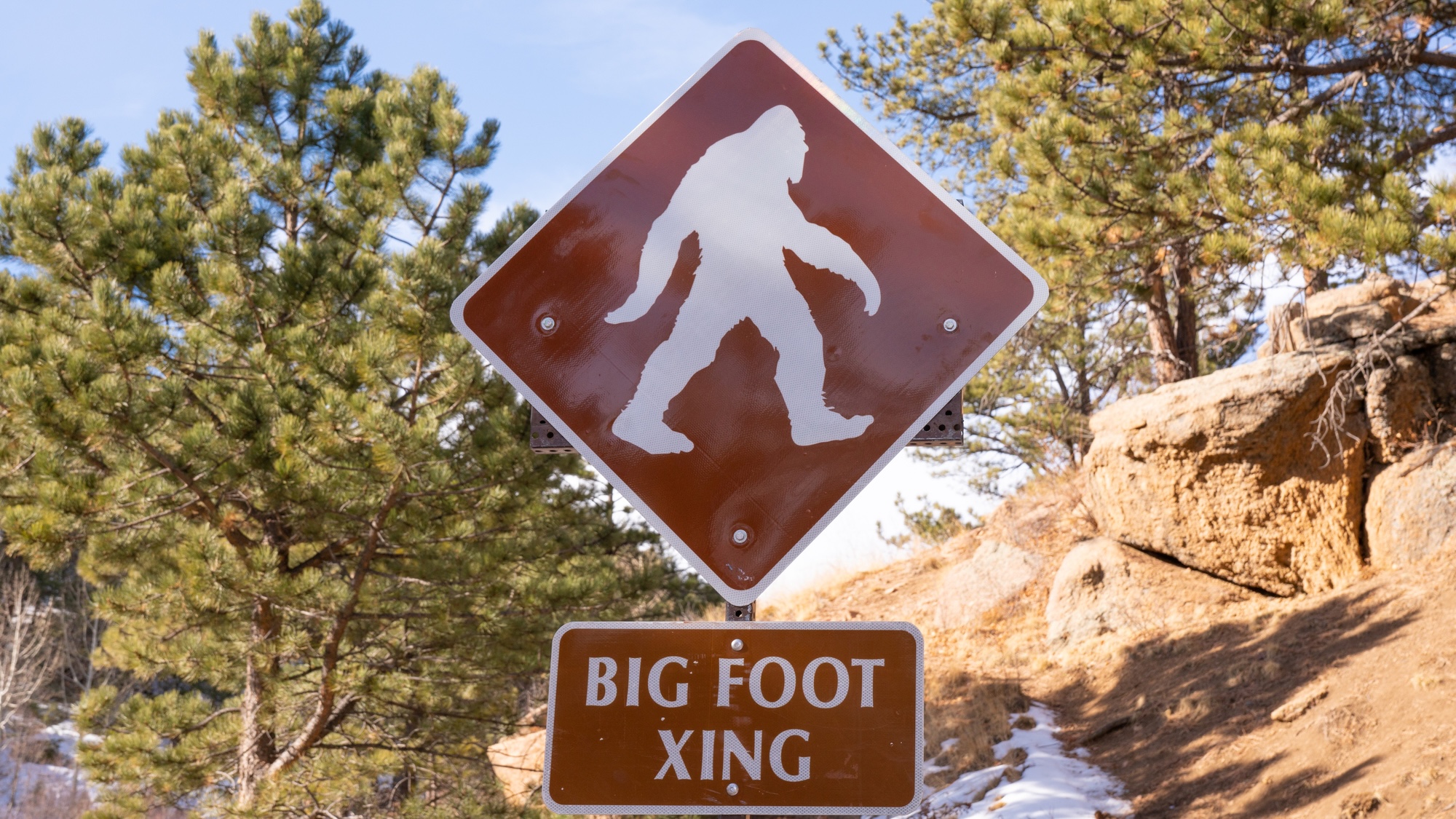 What Bigfoot hunters get right (and very wrong)