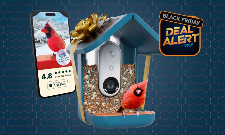 A birdbuddy smart feeder with a bright red cardinal against a blue Amazon Prime Day product card background