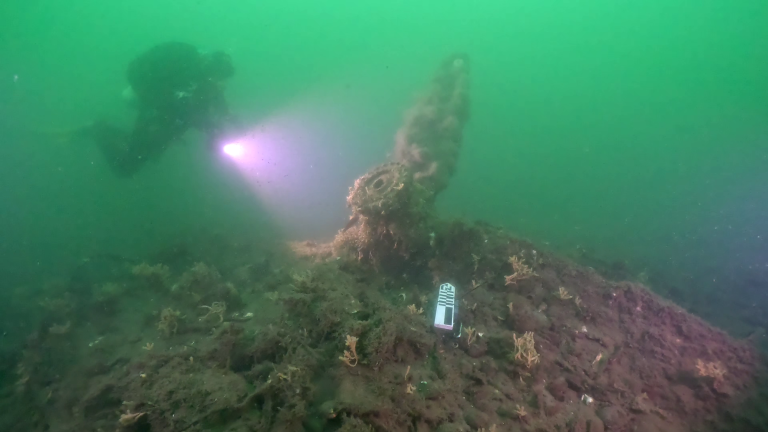 Scuba diver investigating propellor of WW2 aircraft crash underwater