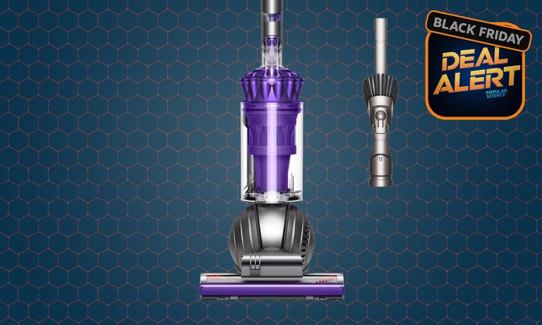 Dyson Ball Animal Origin Vacuum
