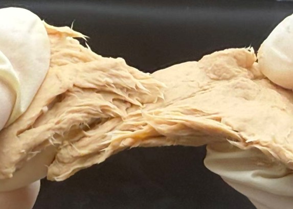 a gene edited fungi that looks like meat