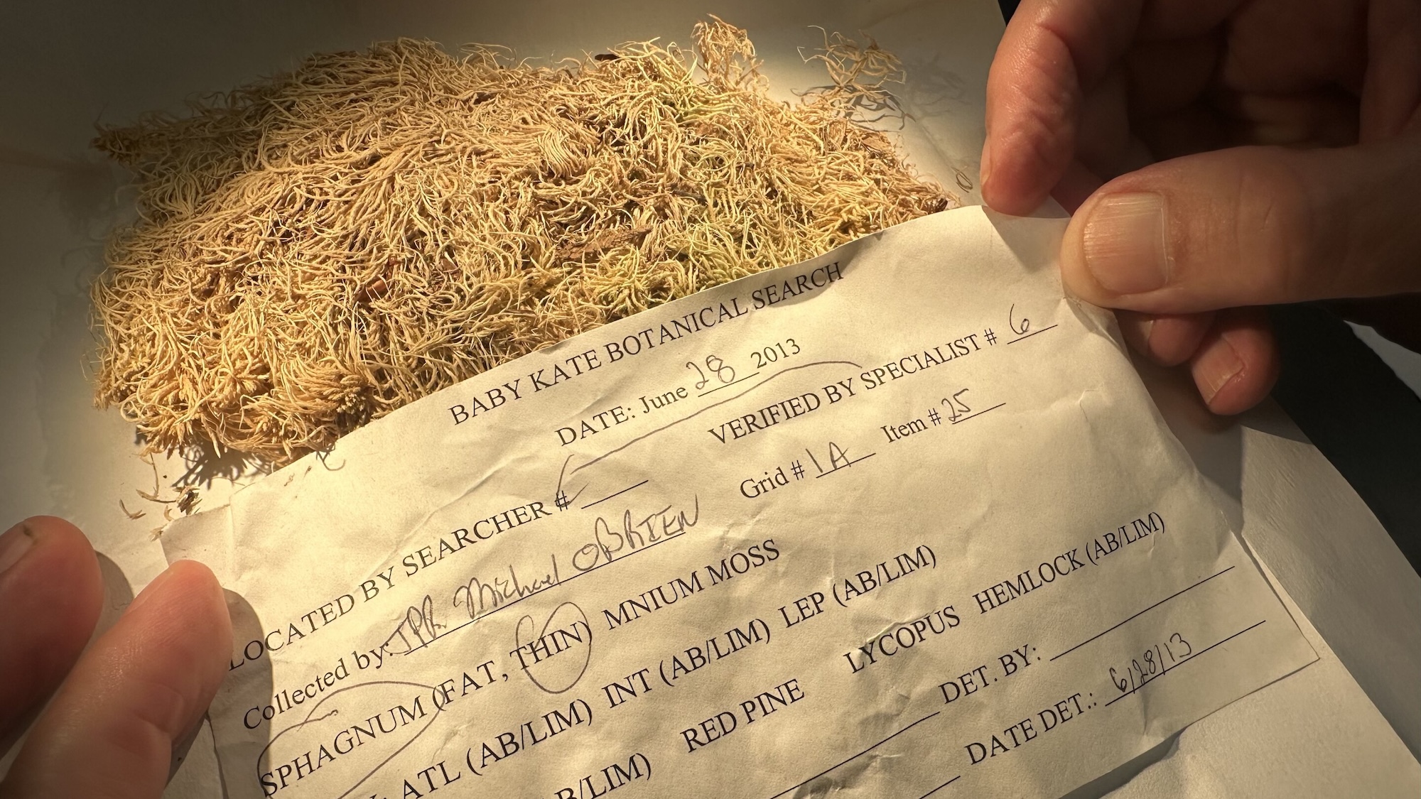 hands holding forensic evidence slip in front of moss