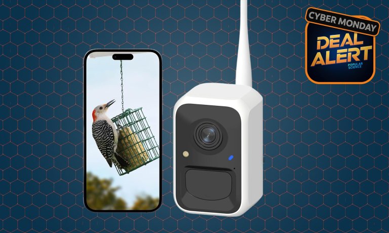 Netvue by Birdfy smart bird feeder camera