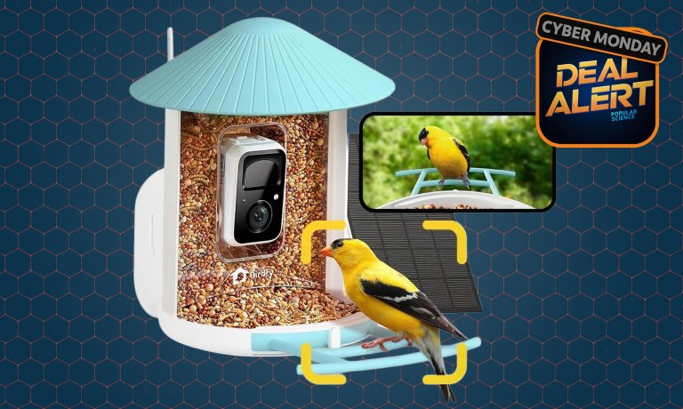 Netvue by Birdfy smart bird feeder with bird