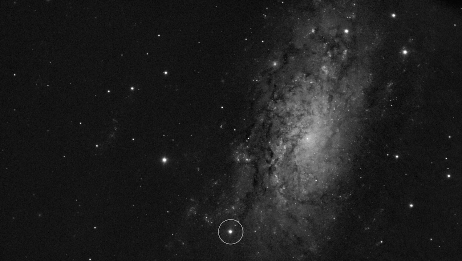 This image shows the location of the supernova SN 2024ggi in the NGC 3621 galaxy. It was taken on 11 April 2024, just 26 hours after the initial detection of the supernova. The image was obtained with the FORS2 instrument on ESO’s Very Large Telescope (VLT). Among other capabilities, FORS2 allows to obtain spectra in polarised light. This technique, called spectropolarimetry, provides crucial information about the shape of the explosion even though it appears as a single point as seen from Earth.Â