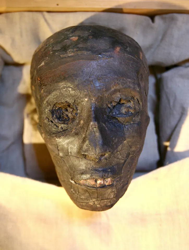 A close-up, high-angle photograph of the preserved, blackened head and face of the mummy of Pharaoh Tutankhamun. The ancient remains show cracked, dark skin, hollowed eyes, and exposed teeth, resting on light-colored fabric inside a wooden display case.