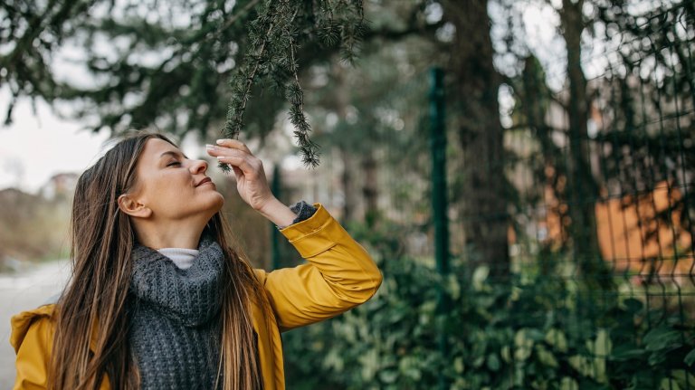 A white woman with brown hair wearing a grey sweater and yellow coat holds of a pine branch to her nose and smells. She seems to be walking down a sidewalk. There's an out of focus wire fence behind her and what looks like a street to her left. She looks happy and content as she smells the pine branch. There are more out of focus pine trees and branches behind her.
