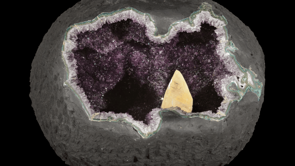 A 1,000-pound geode, mosasaur skeleton, and head to auction | Popular ...