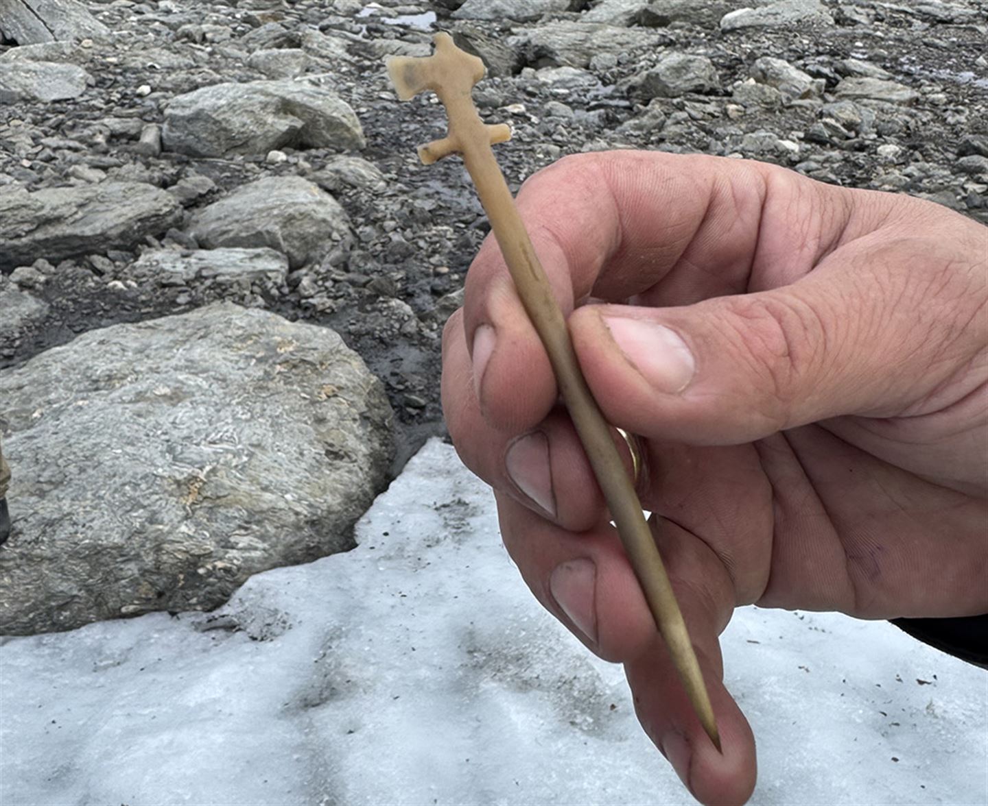 a brooch made out of an antler