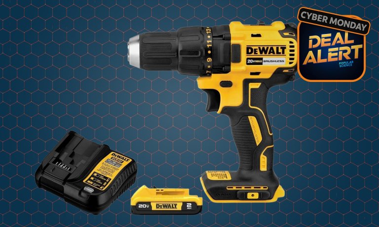Dewalt drill driver