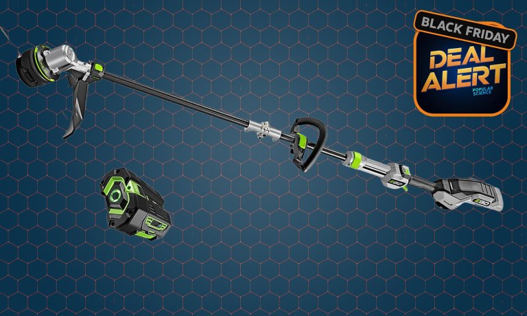 Ego Power+ string trimmer